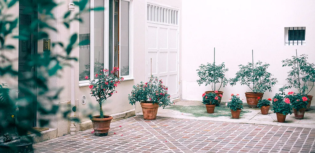 Obligaciones que tenías en tu patio comunitario y no conocías